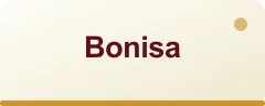 Bonisa logo