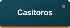 Casitoros logo